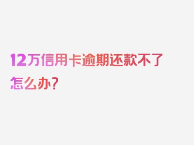 12万信用卡逾期还款不了怎么办？