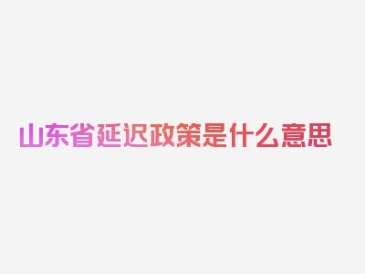 山东省延迟政策是什么意思