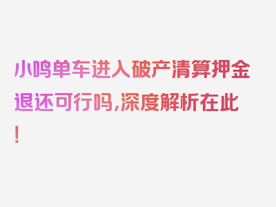 小鸣单车进入破产清算押金退还可行吗，深度解析在此！