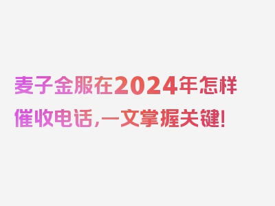 麦子金服在2024年怎样催收电话，一文掌握关键！