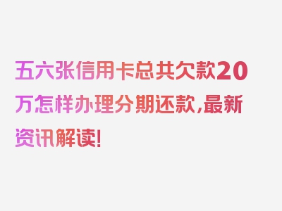 五六张信用卡总共欠款20万怎样办理分期还款，最新资讯解读！