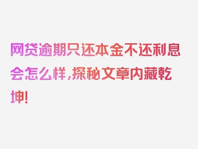 网贷逾期只还本金不还利息会怎么样，探秘文章内藏乾坤！