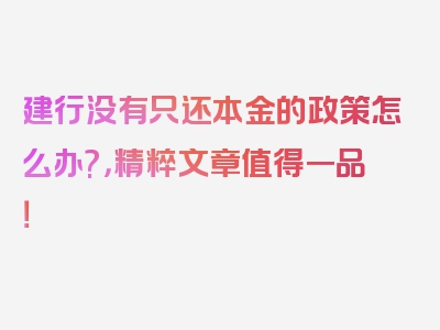 建行没有只还本金的政策怎么办?，精粹文章值得一品！