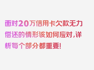 面对20万信用卡欠款无力偿还的情形该如何应对，详析每个部分都重要！