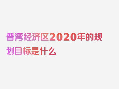 普湾经济区2020年的规划目标是什么