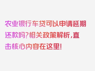 农业银行车贷可以申请延期还款吗?相关政策解析，直击核心内容在这里！