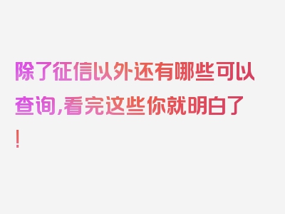 除了征信以外还有哪些可以查询，看完这些你就明白了!