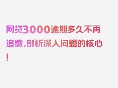 网贷3000逾期多久不再追缴，剖析深入问题的核心！