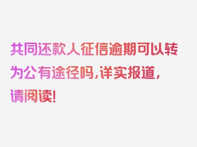 共同还款人征信逾期可以转为公有途径吗，详实报道，请阅读！