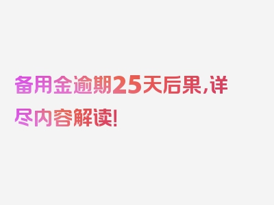 备用金逾期25天后果，详尽内容解读！