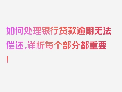 如何处理银行贷款逾期无法偿还，详析每个部分都重要！