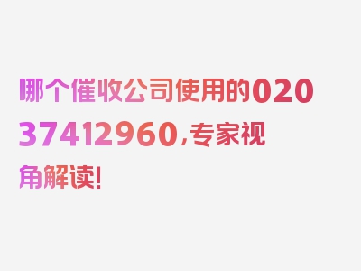 哪个催收公司使用的02037412960，专家视角解读！