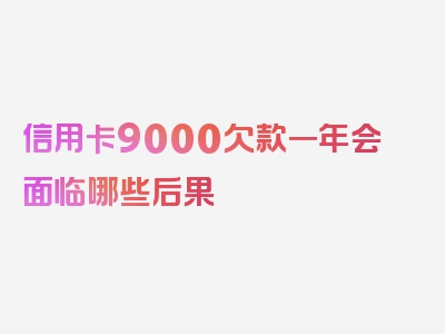 信用卡9000欠款一年会面临哪些后果