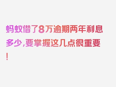 蚂蚁借了8万逾期两年利息多少，要掌握这几点很重要！