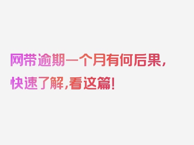 网带逾期一个月有何后果，快速了解，看这篇！