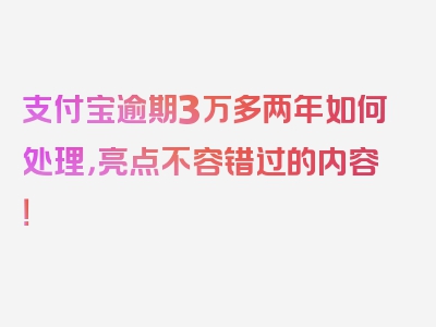 支付宝逾期3万多两年如何处理，亮点不容错过的内容！