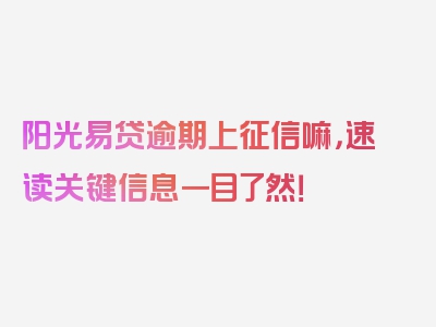 阳光易贷逾期上征信嘛，速读关键信息一目了然！