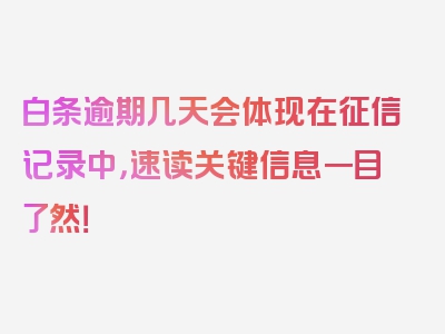 白条逾期几天会体现在征信记录中，速读关键信息一目了然！