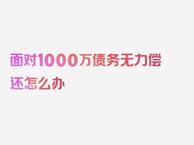 面对1000万债务无力偿还怎么办