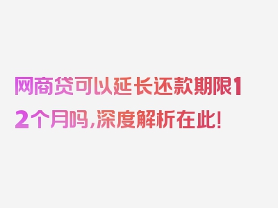 网商贷可以延长还款期限12个月吗，深度解析在此！