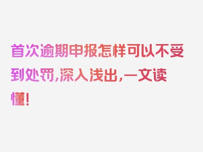 首次逾期申报怎样可以不受到处罚，深入浅出，一文读懂！