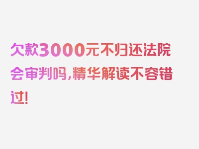 欠款3000元不归还法院会审判吗，精华解读不容错过！