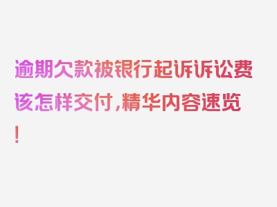 逾期欠款被银行起诉诉讼费该怎样交付，精华内容速览！