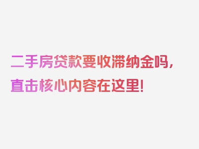 二手房贷款要收滞纳金吗，直击核心内容在这里！