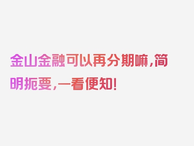 金山金融可以再分期嘛，简明扼要，一看便知！