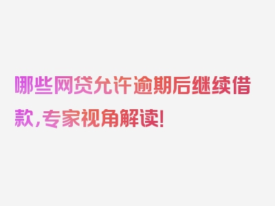 哪些网贷允许逾期后继续借款，专家视角解读！