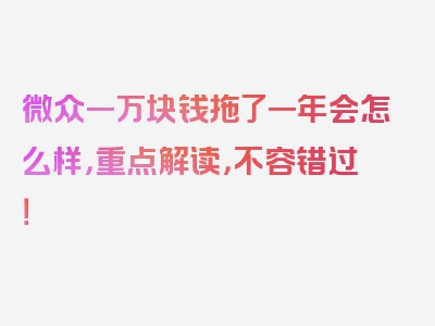 微众一万块钱拖了一年会怎么样，重点解读，不容错过！