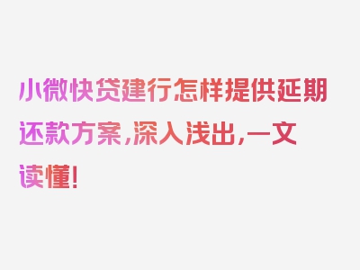 小微快贷建行怎样提供延期还款方案，深入浅出，一文读懂！