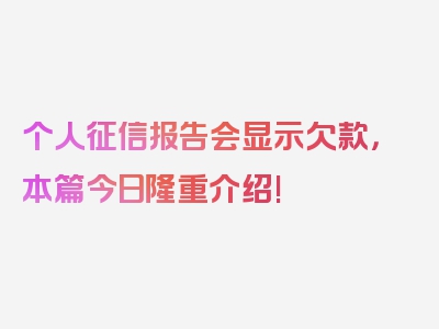 个人征信报告会显示欠款，本篇今日隆重介绍!