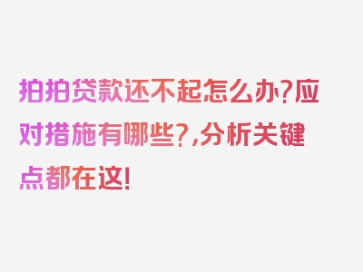 拍拍贷款还不起怎么办?应对措施有哪些?，分析关键点都在这！