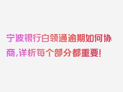 宁波银行白领通逾期如何协商，详析每个部分都重要！