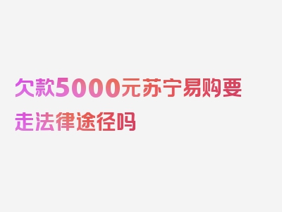 欠款5000元苏宁易购要走法律途径吗