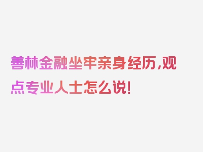 善林金融坐牢亲身经历，观点专业人士怎么说！