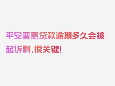 平安普惠贷款逾期多久会被起诉啊，很关键!