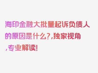 海印金融大批量起诉负债人的原因是什么?，独家视角，专业解读！