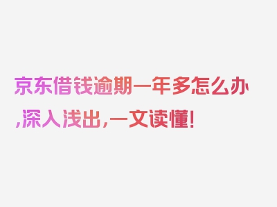 京东借钱逾期一年多怎么办，深入浅出，一文读懂！