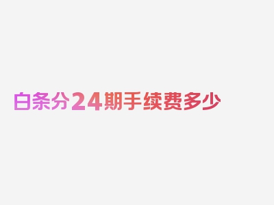 白条分24期手续费多少