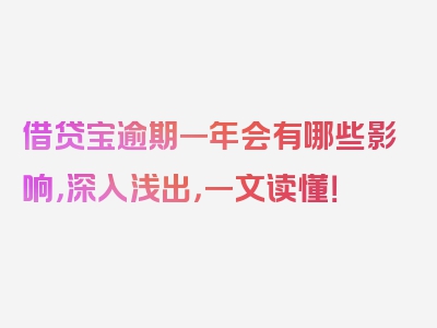 借贷宝逾期一年会有哪些影响，深入浅出，一文读懂！