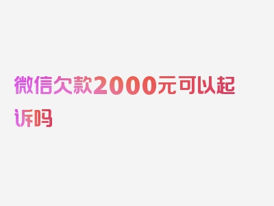 微信欠款2000元可以起诉吗