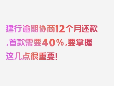 建行逾期协商12个月还款,首款需要40%，要掌握这几点很重要！