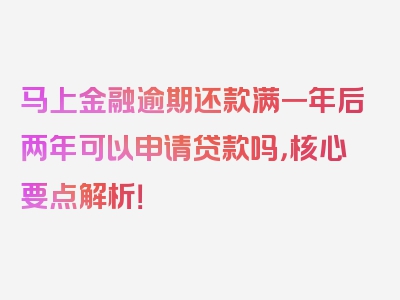 马上金融逾期还款满一年后两年可以申请贷款吗，核心要点解析！