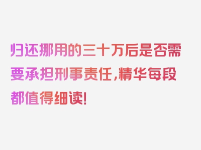 归还挪用的三十万后是否需要承担刑事责任，精华每段都值得细读！