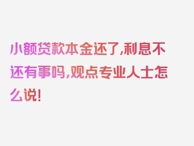 小额贷款本金还了,利息不还有事吗，观点专业人士怎么说！