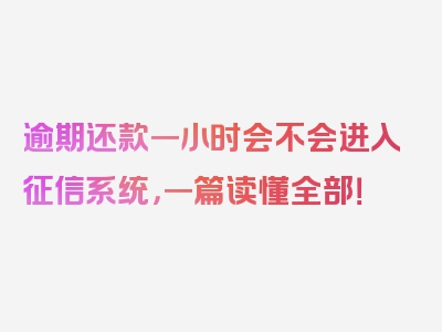 逾期还款一小时会不会进入征信系统，一篇读懂全部！