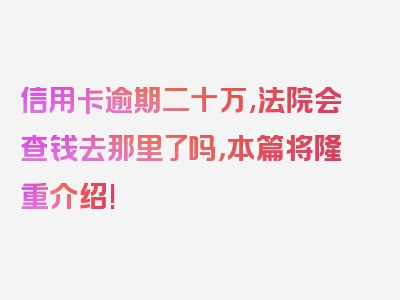 信用卡逾期二十万,法院会查钱去那里了吗，本篇将隆重介绍!