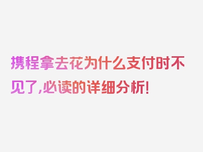 携程拿去花为什么支付时不见了，必读的详细分析！